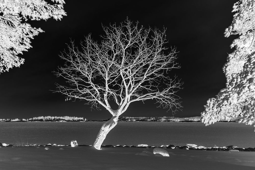 Photograph by Крицак Ольга