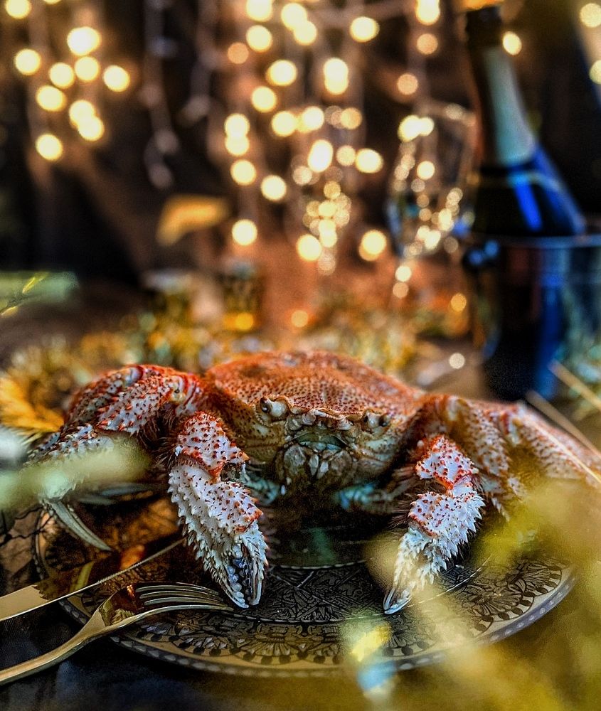 Photograph by Oksana lukyanova