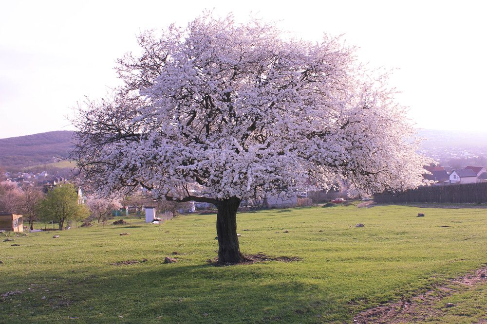 Photograph by Филипп Бабенко