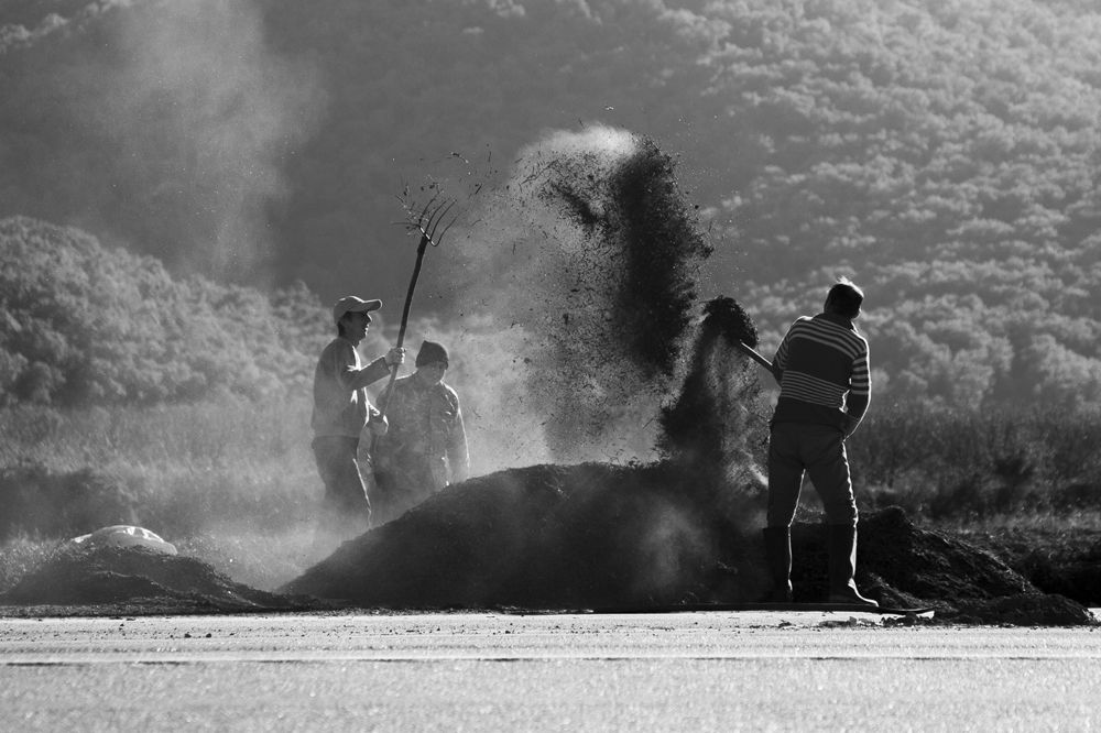 Photograph by seyed mostafa yousefi