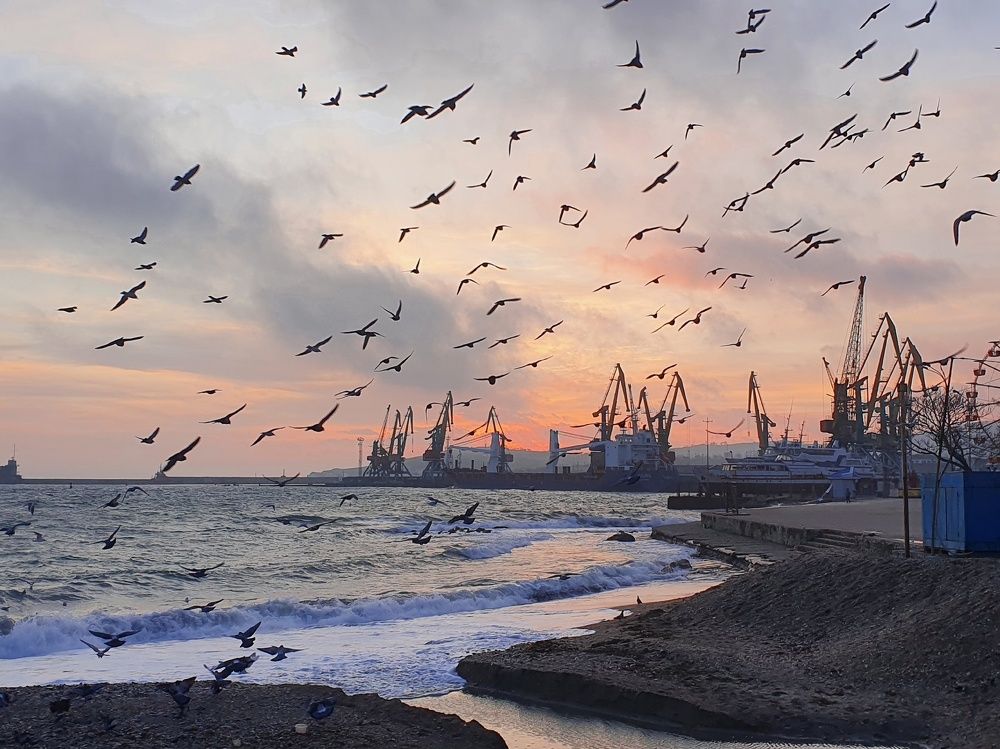 Photograph by Стаскевич Татьяна