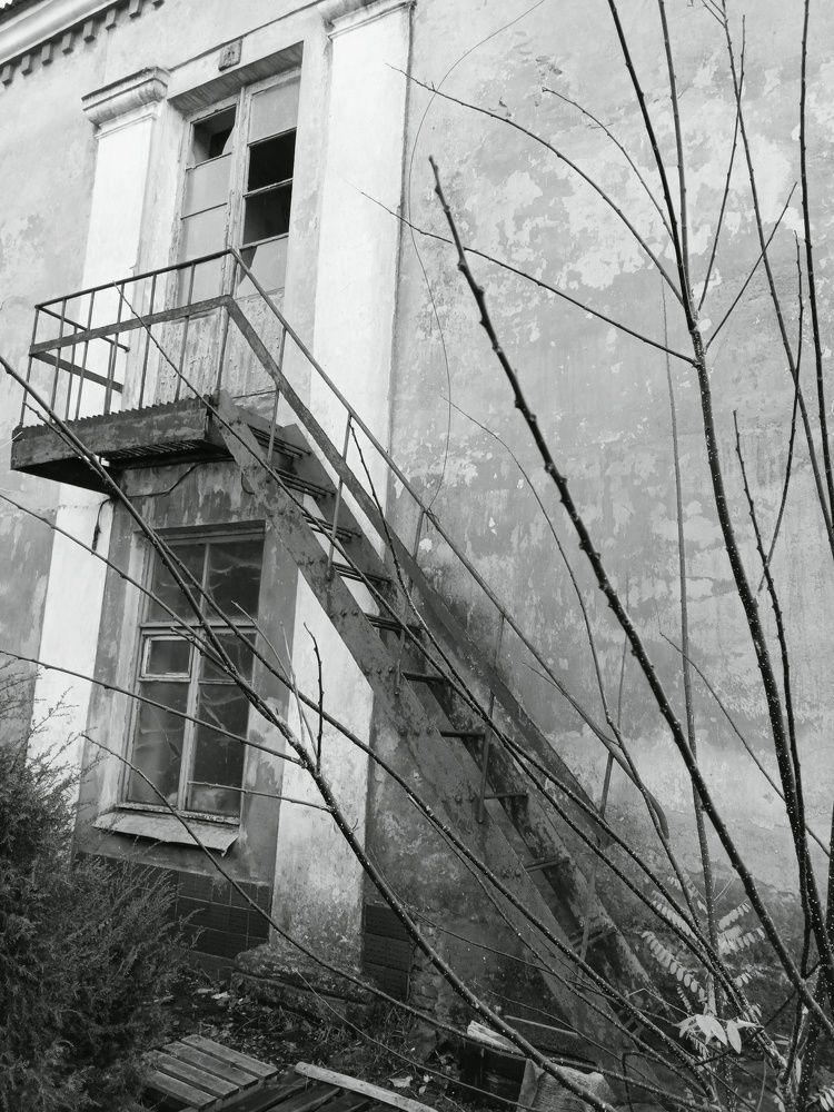 Photograph by Стаскевич Татьяна