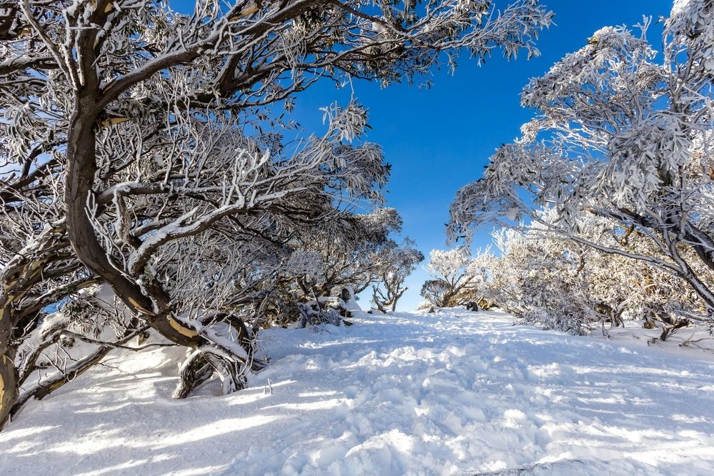 Фотография автора jason lu