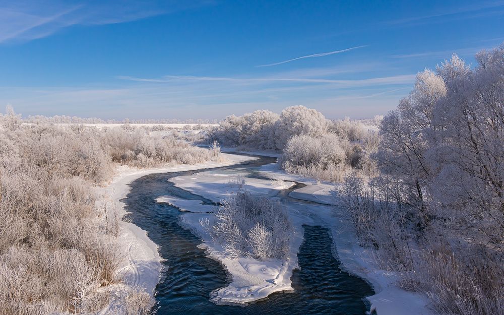 Фотография автора Николай Бологов