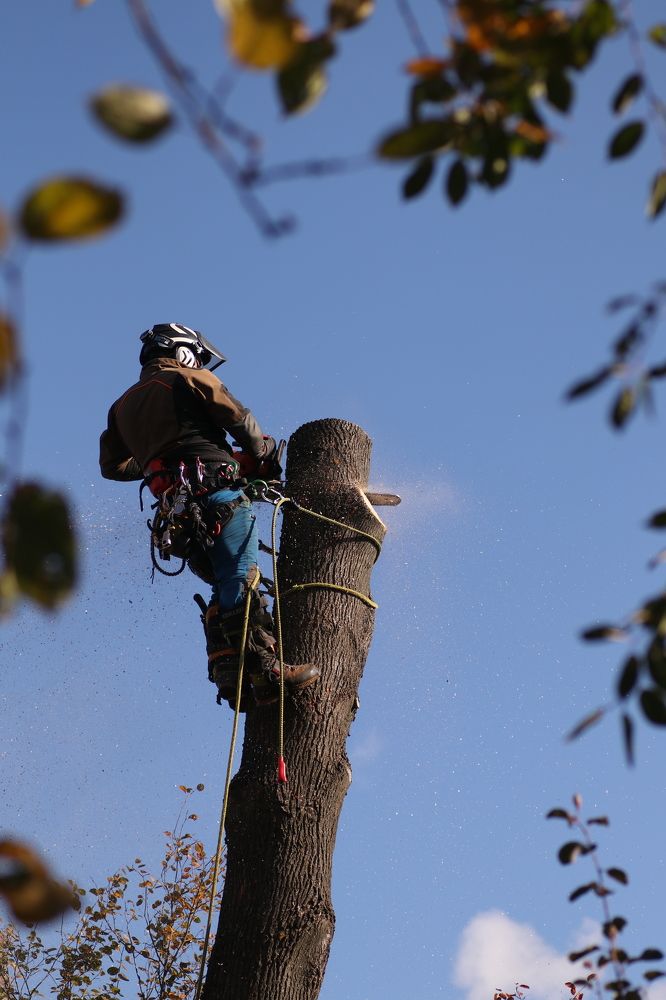 Photograph by Светлана Богомолова