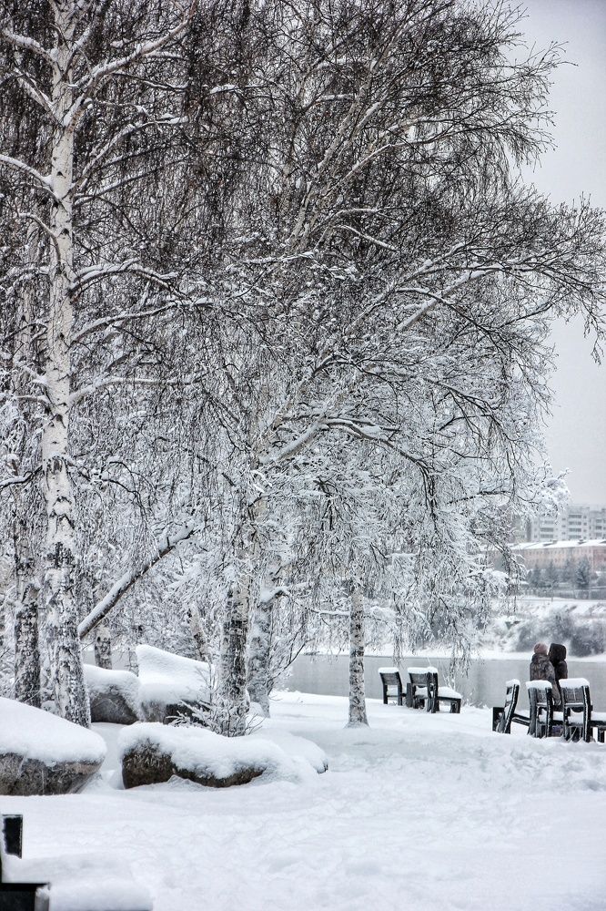 Photograph by Владимир Сушкин