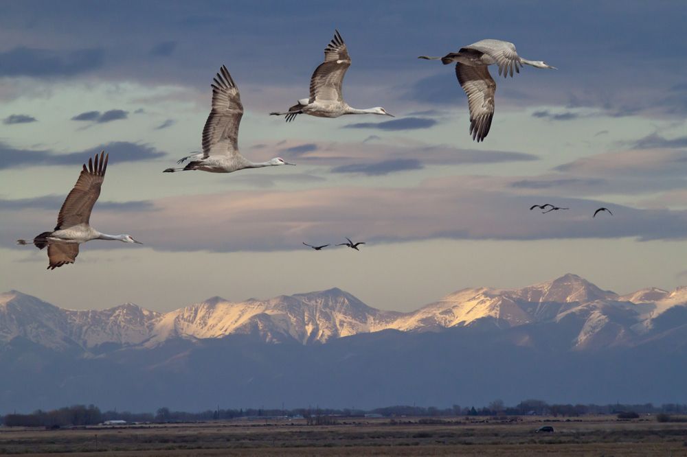 Photograph by Valentina Gatewood