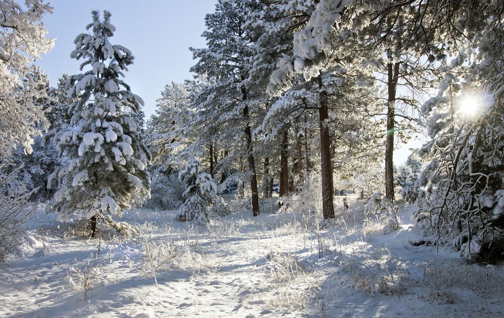 Photograph by Valentina Gatewood