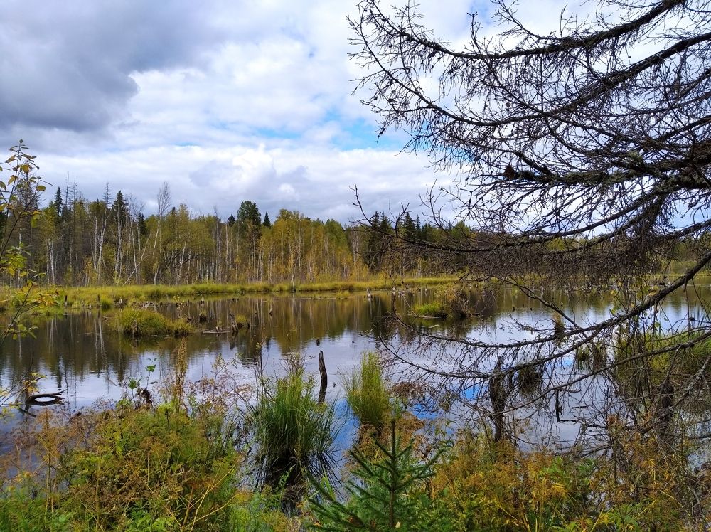 Таёжное озеро