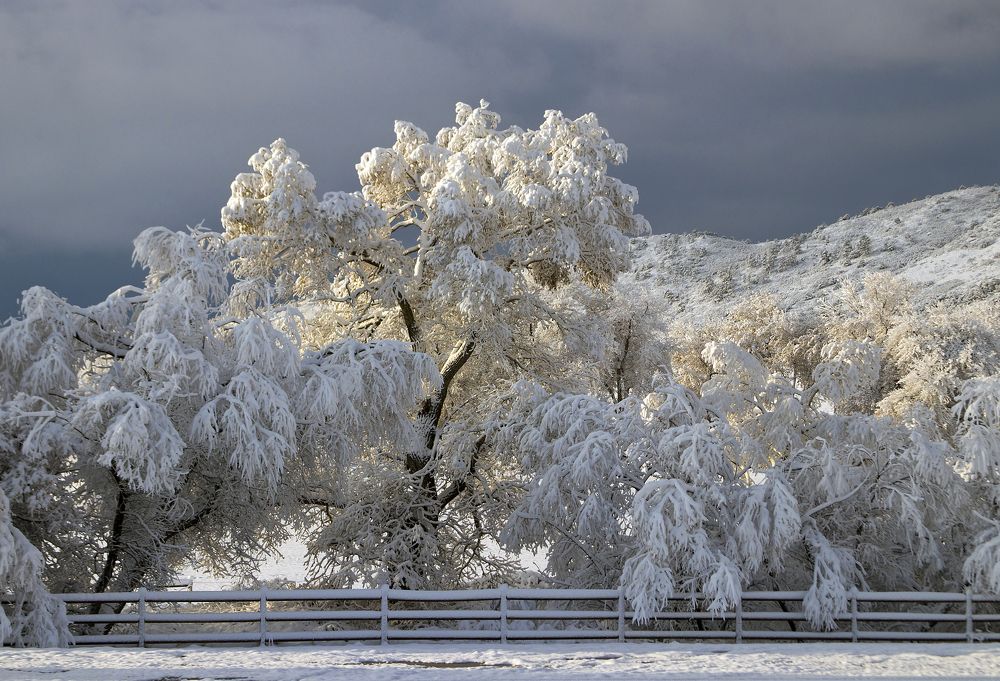 Winter in my village