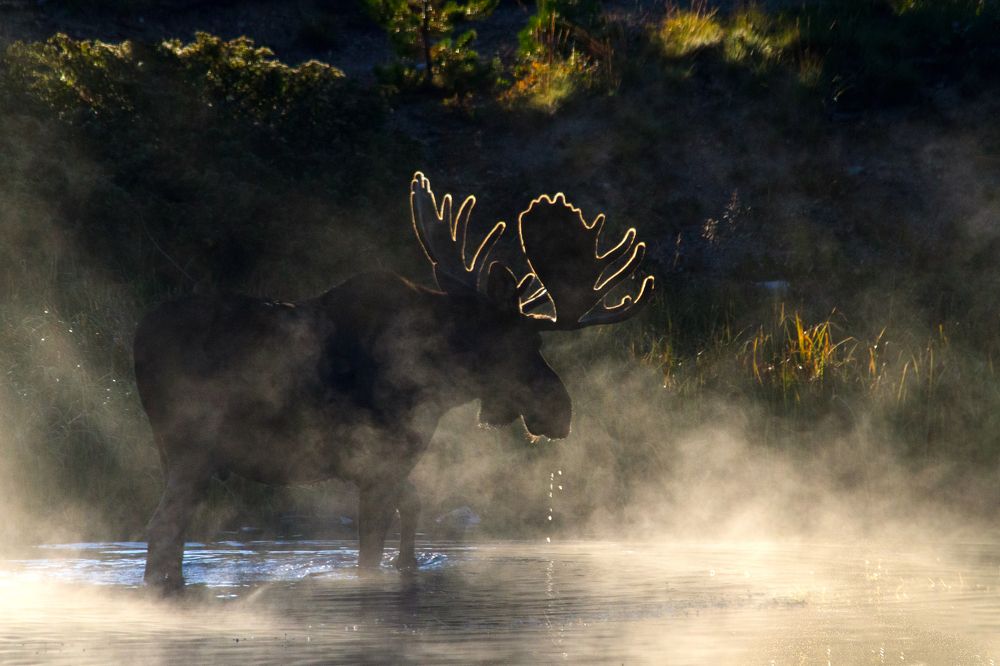 Photograph by Valentina Gatewood