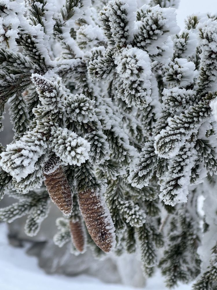 Photograph by Танечка