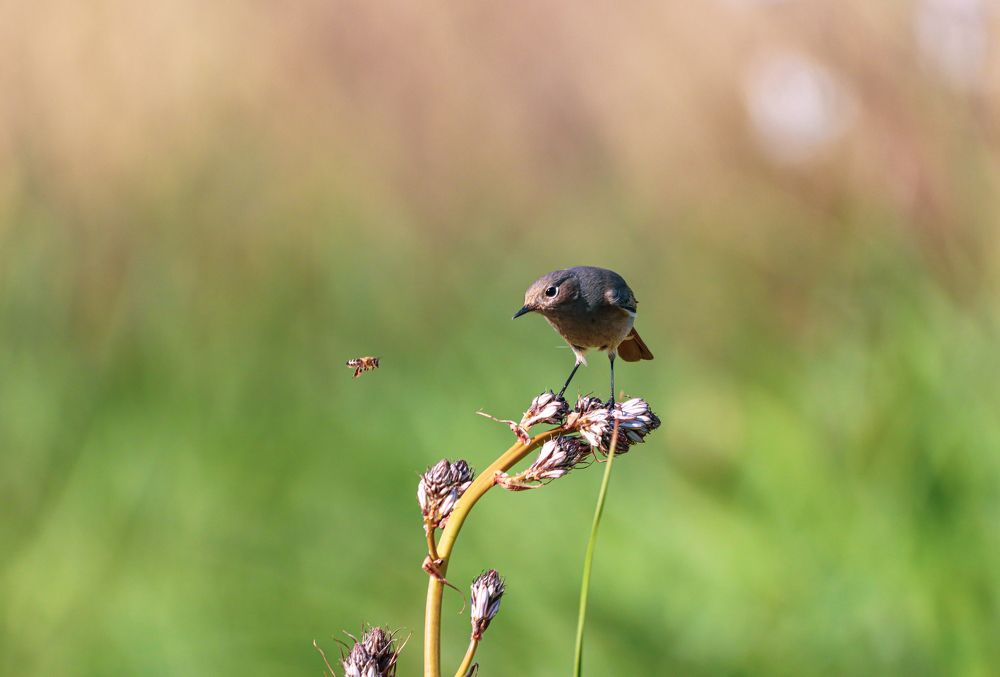 Photograph by Panagiotis Frattis