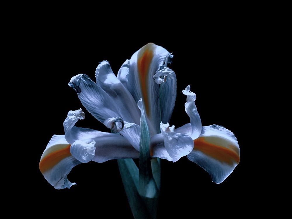 Photograph by Станислав Ситников