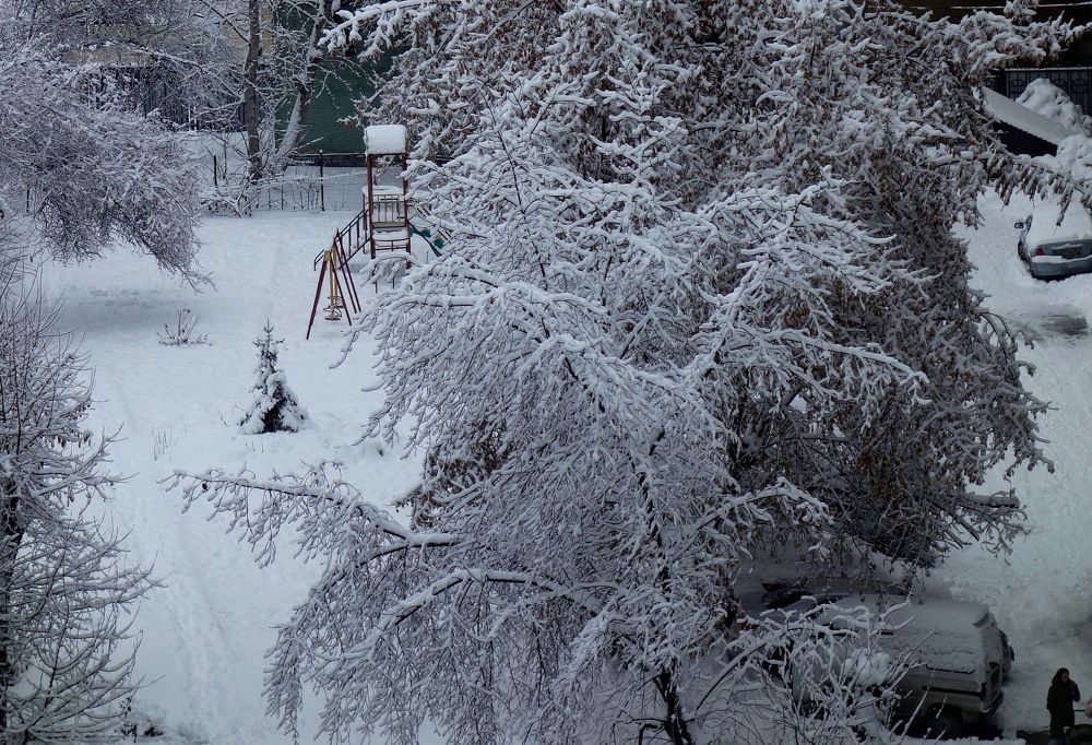 Photograph by Сергей Гребенников