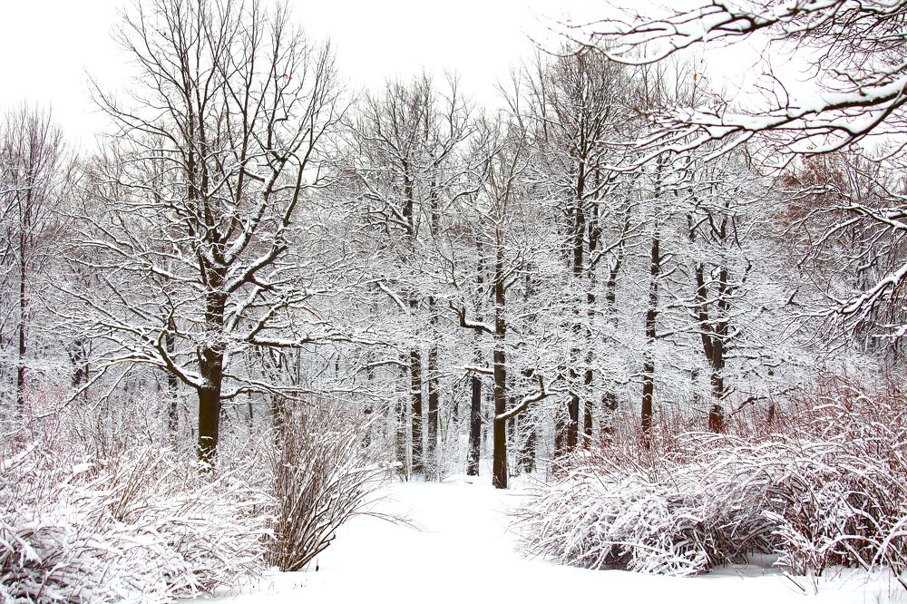 Photograph by Константин Лагоденко