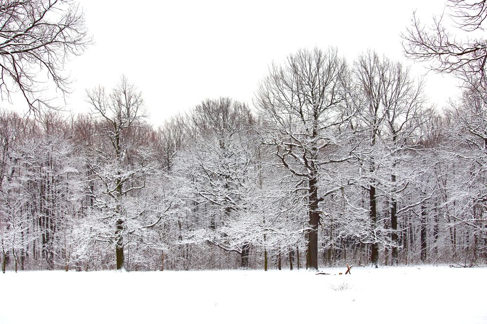 Photograph by Константин Лагоденко