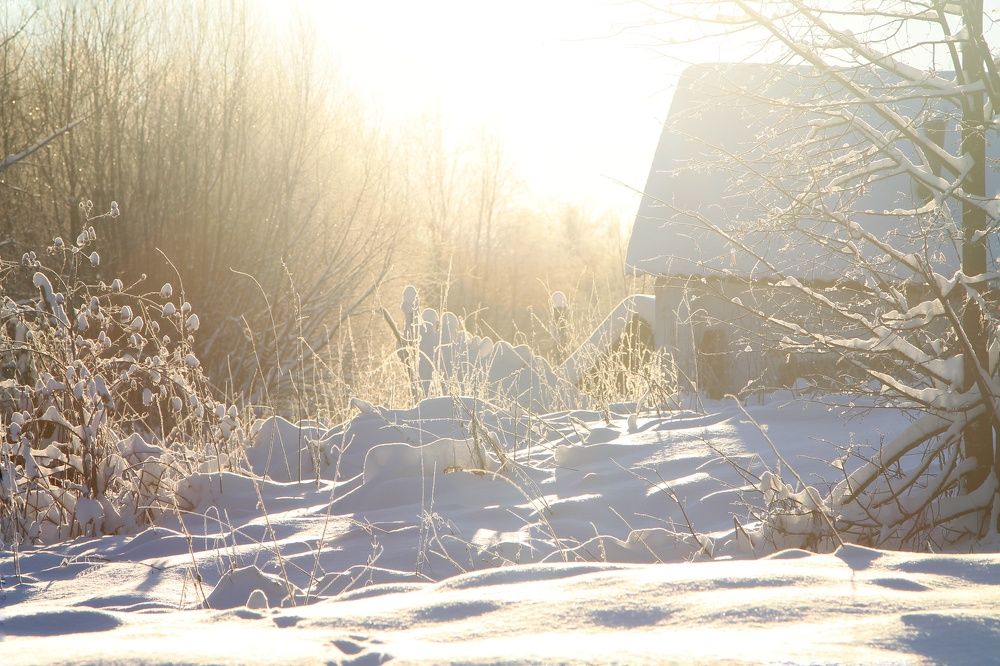 Photograph by Виктория Хмара