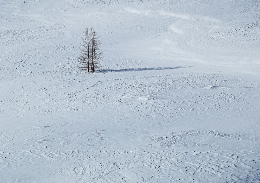 Photograph by Марина Новожилова