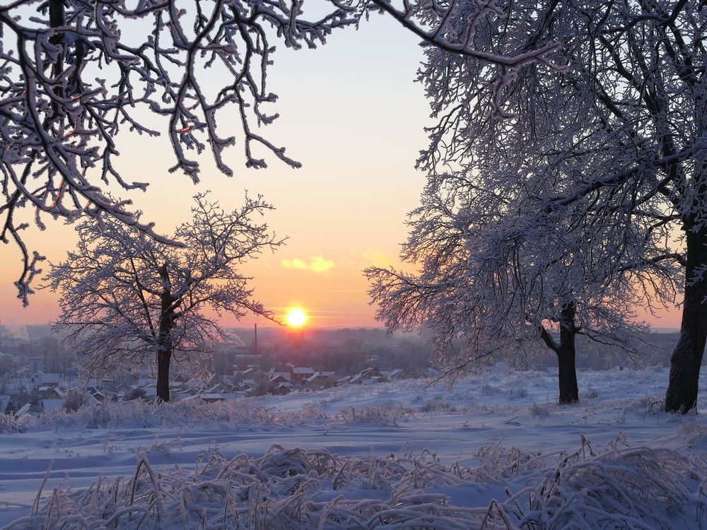 Photograph by Александр Кизим