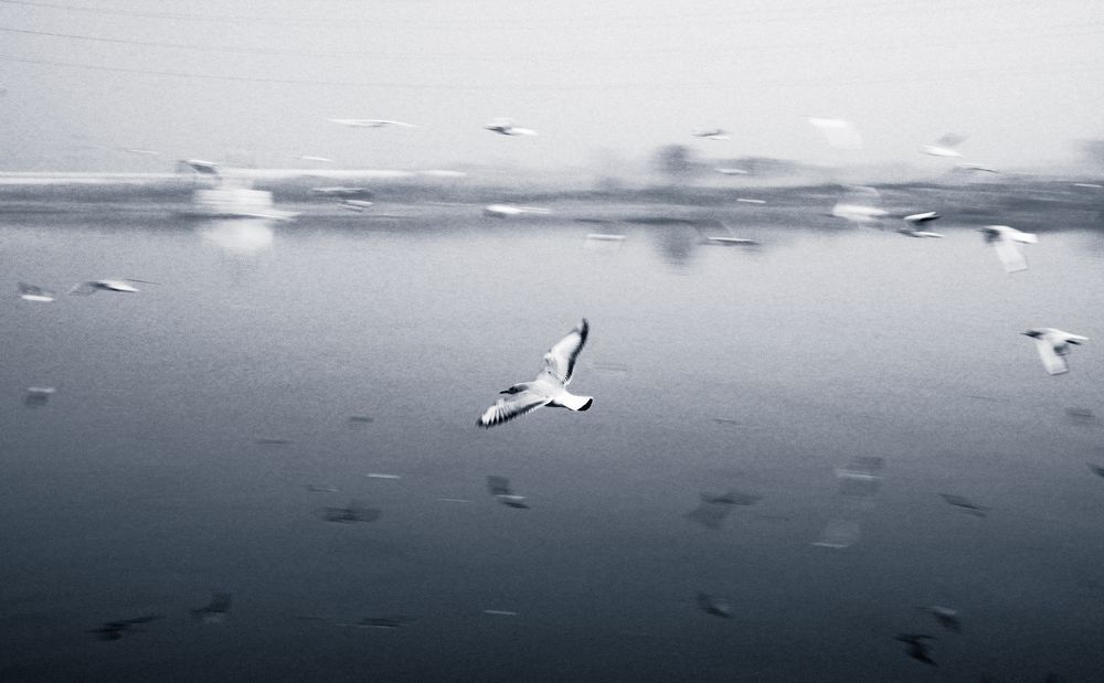 Photograph by Shubham rai