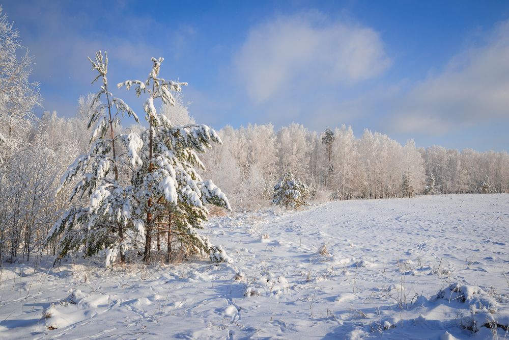 Photograph by Максим Маркин