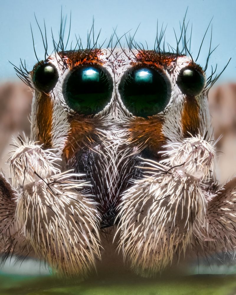 Photograph by Abolfazl Arab