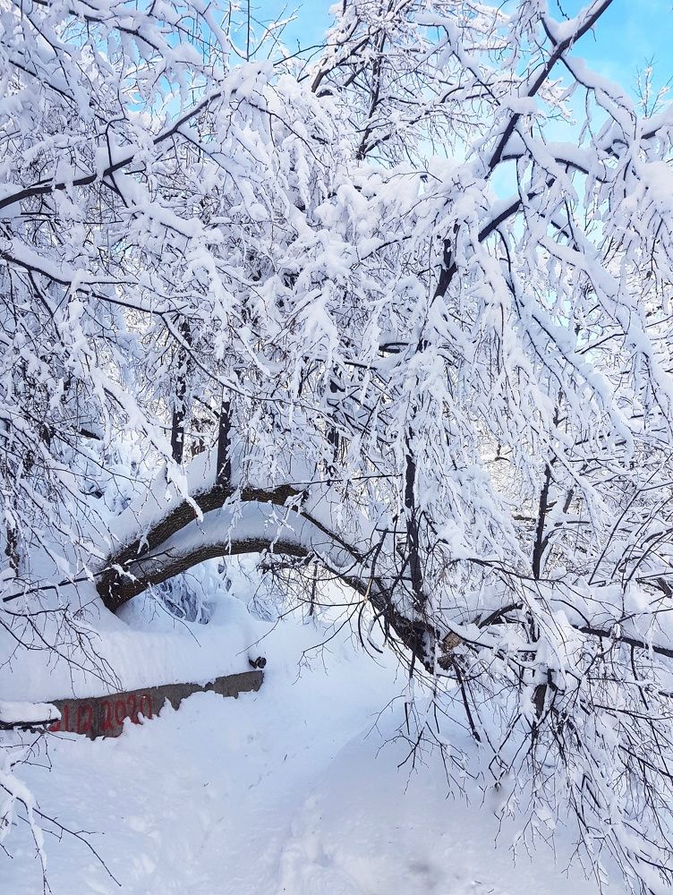 Photograph by Алла Никушкина