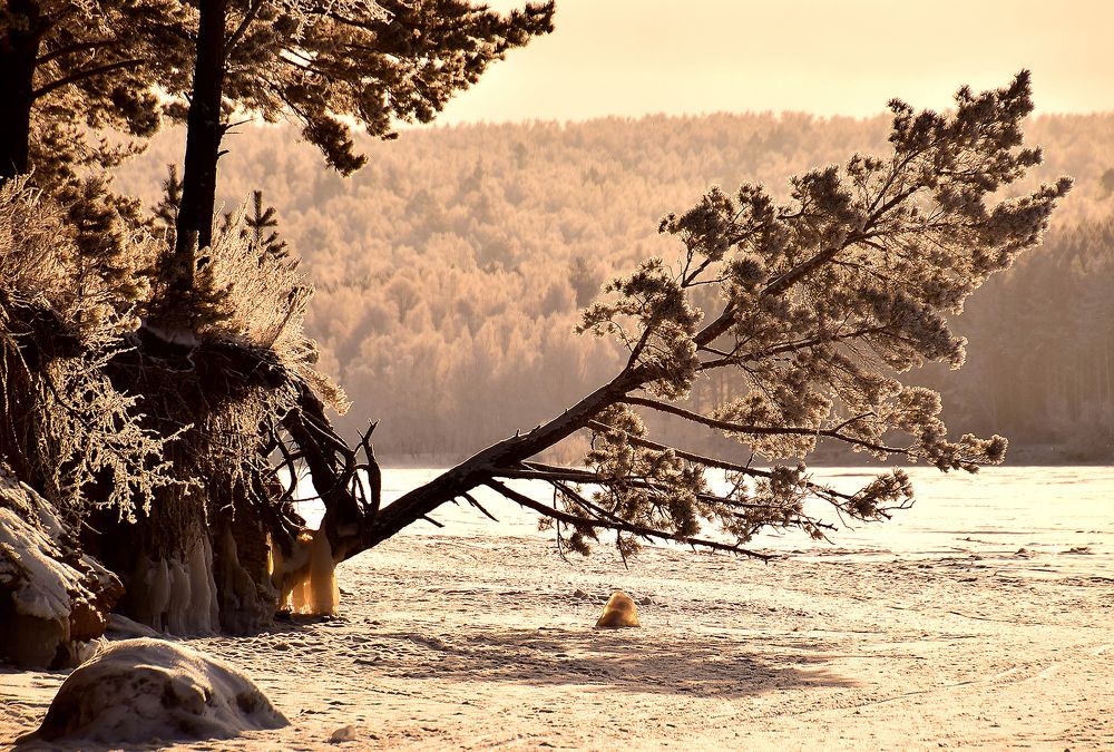 Photograph by Уланов Виталий