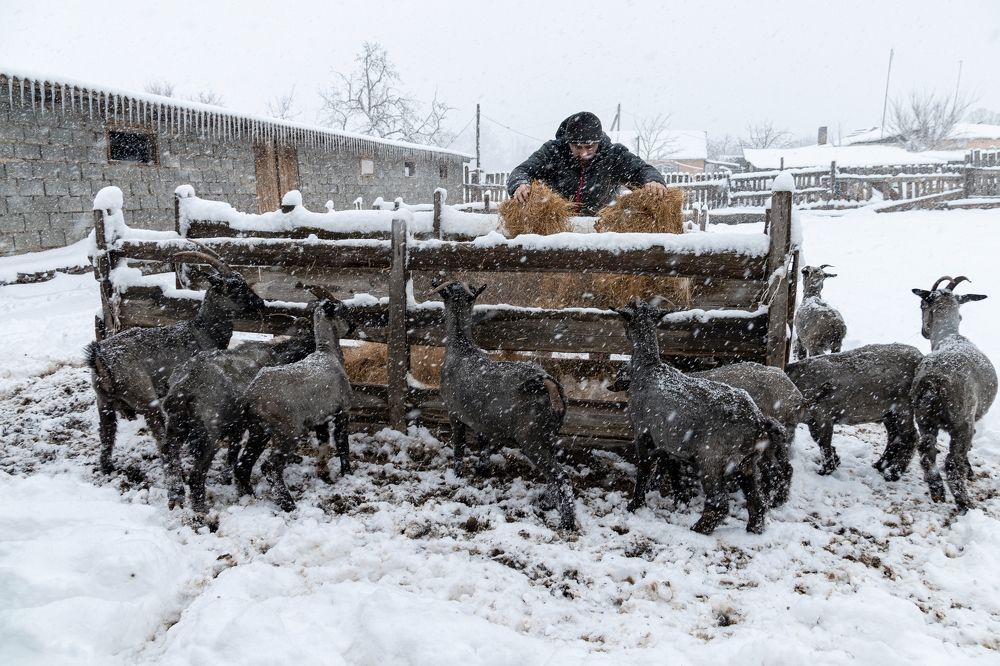 Photograph by Пиленгас Александр