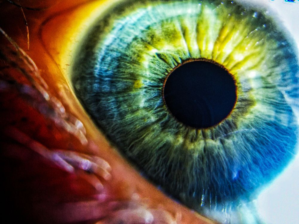 Photograph by Наталья