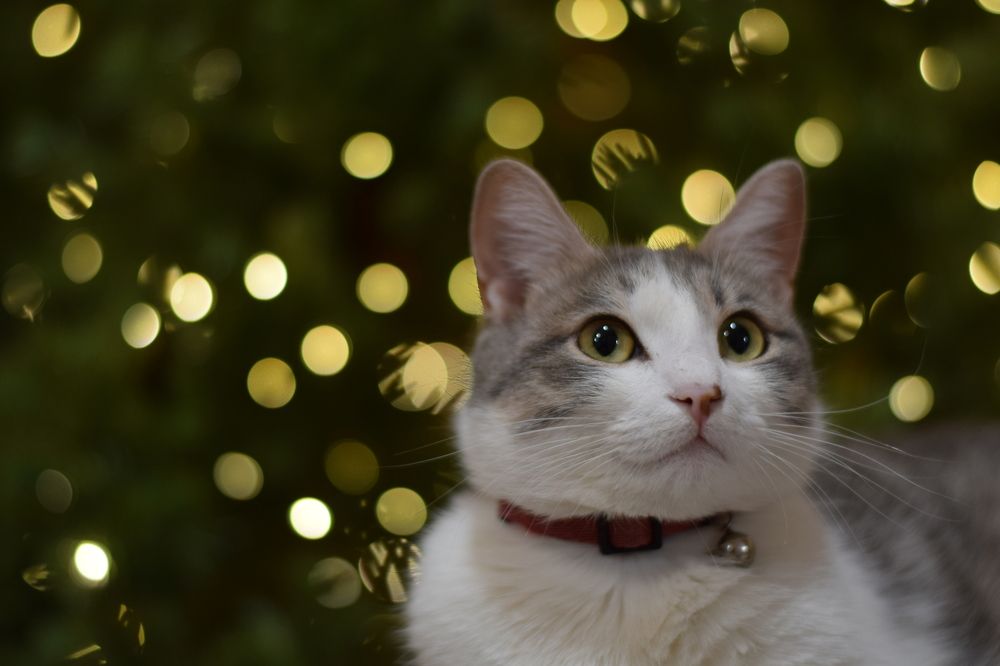 Photograph by Мария