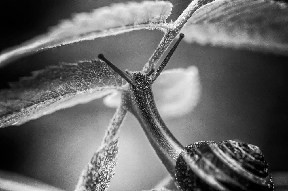 Photograph by Антипов Игорь