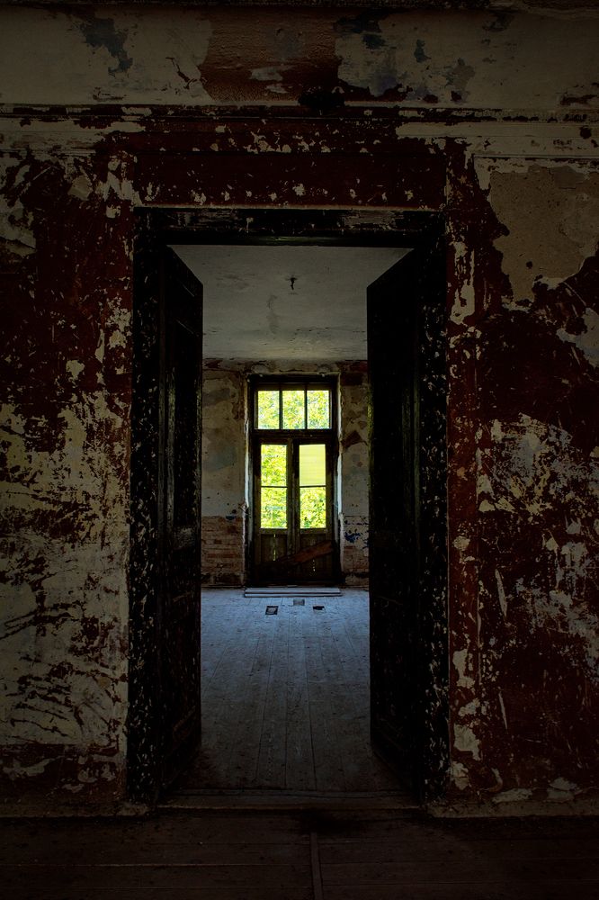 Photograph by Елена Стещенко