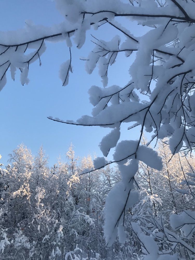 Photograph by Олеся Семёнова