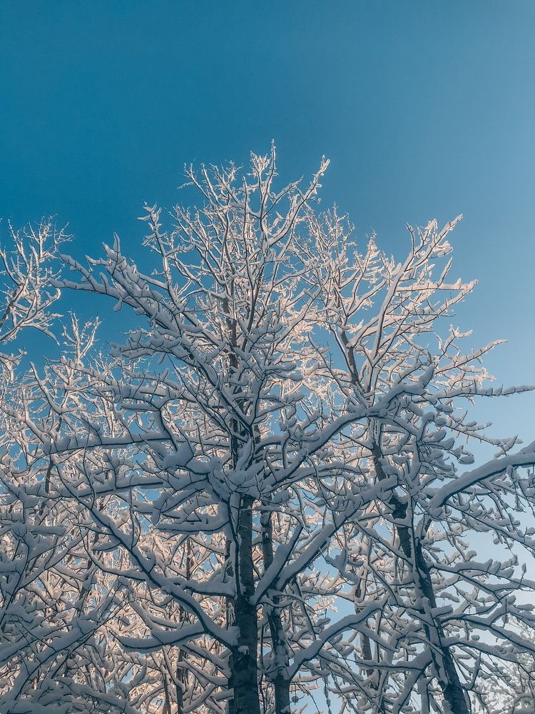 Photograph by Олеся Семёнова