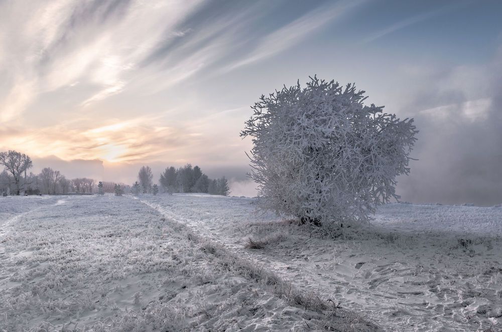 Photograph by Валерий Туманов