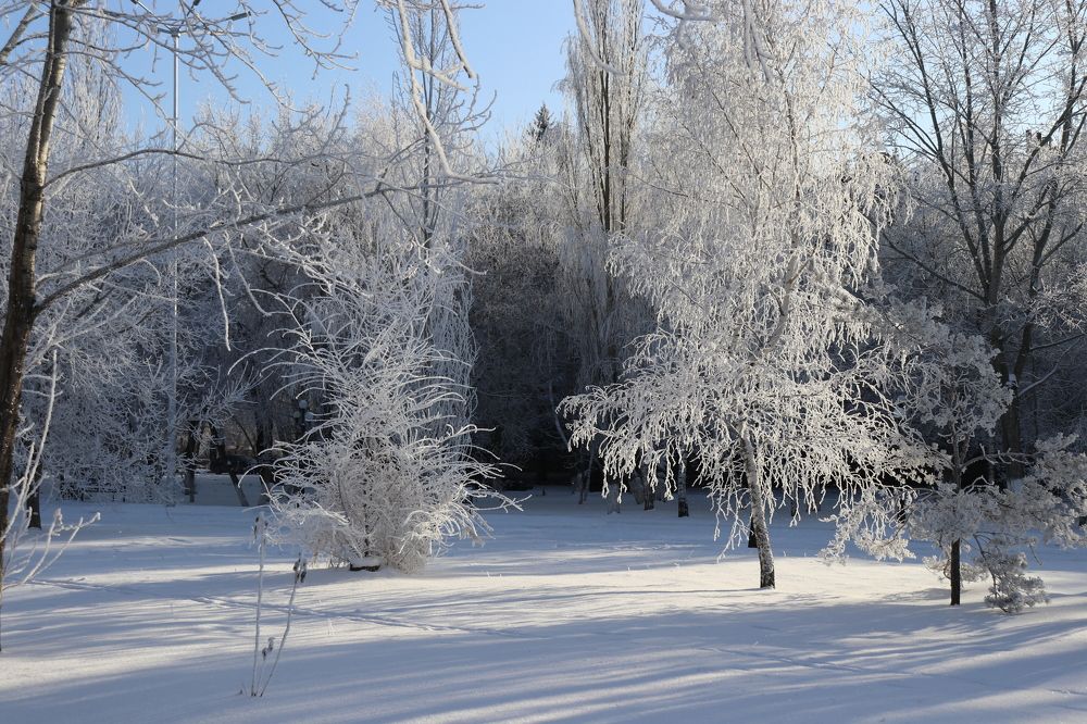 Photograph by Марина Савченко
