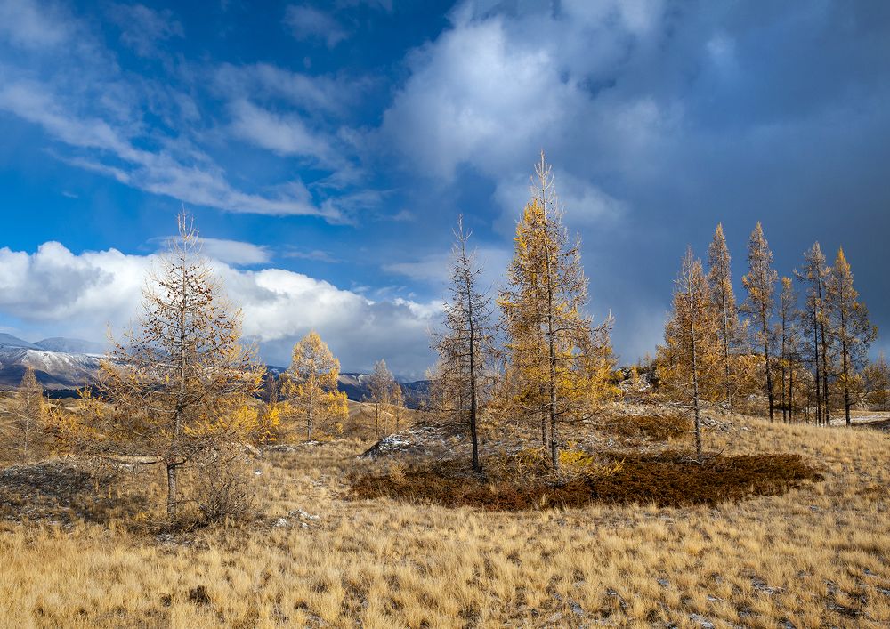 Photograph by Евгений Санин