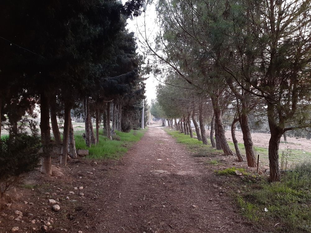 Photograph by Osama Atef Khaleel