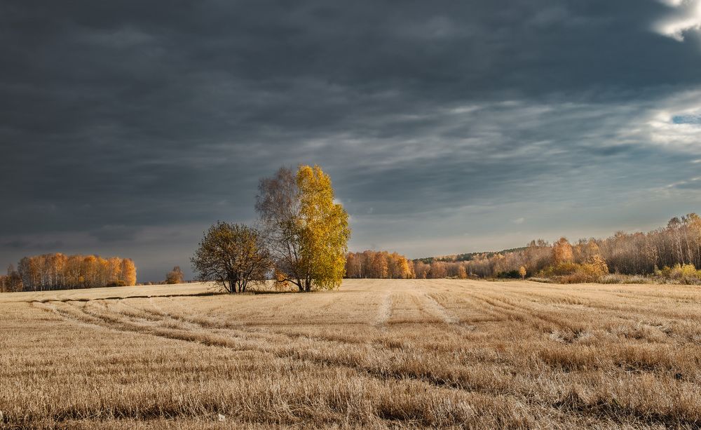 Photograph by Валерий Туманов