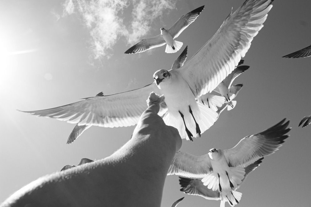 Photograph by Сергей Соколов