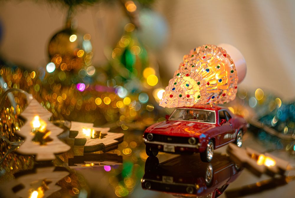 Везем елочку!