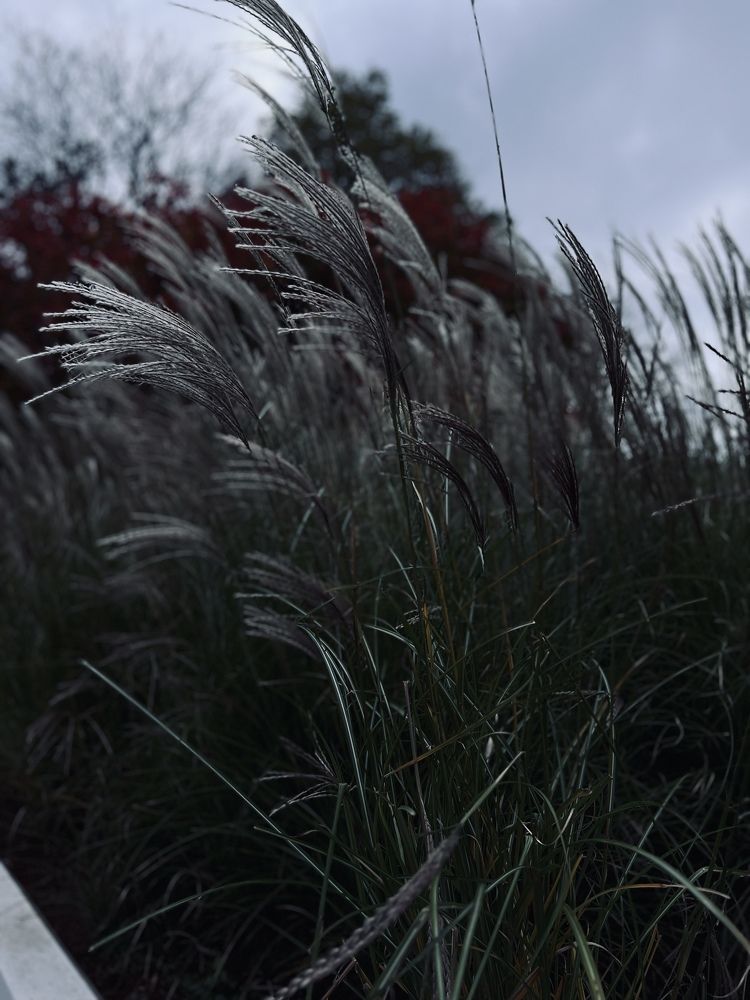 Photograph by Камилла Зозуля