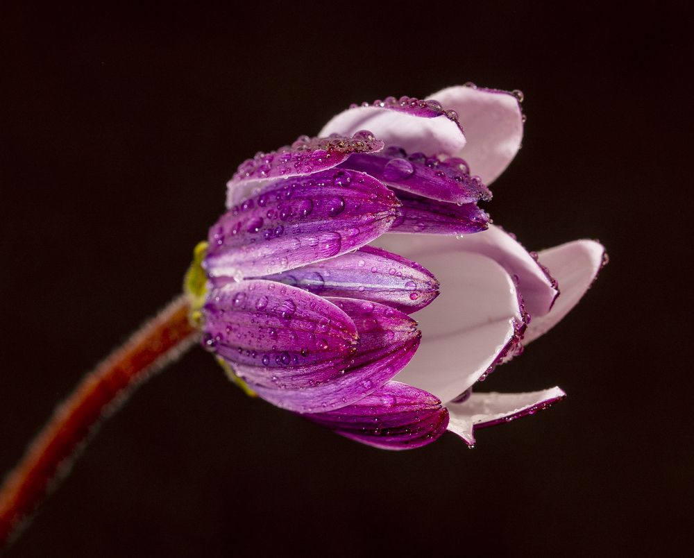 Photograph by AYKUT SEVINC
