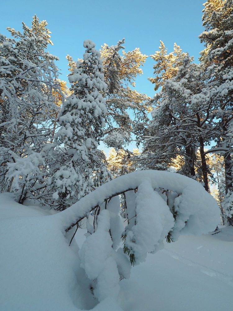 Photograph by Евгений Яковлев