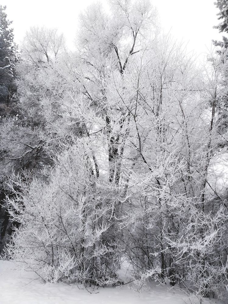 Photograph by Ольга Александрова