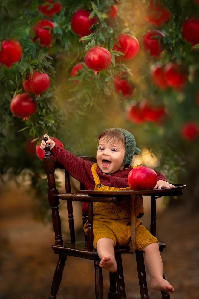 Photograph by Hamutal Avioz