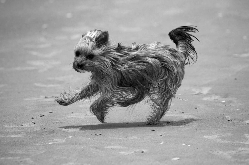 Photograph by Rahel Barenshtein