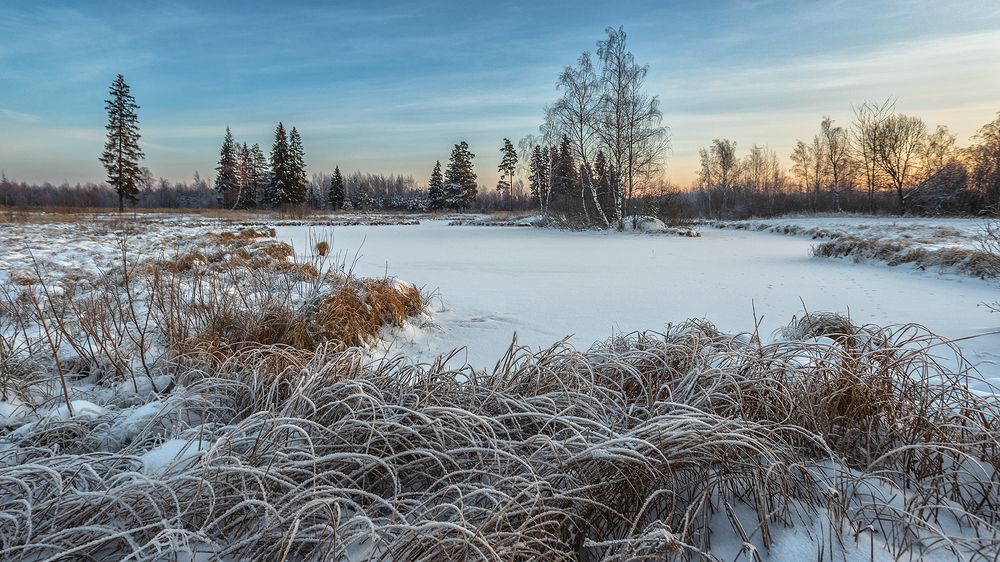 Photograph by Андреев Николай